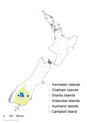 Cardamine exigua distribution map based on databased records at AK, CHR, OTA & WELT.
 Image: K.Boardman © Landcare Research 2018 CC BY 4.0